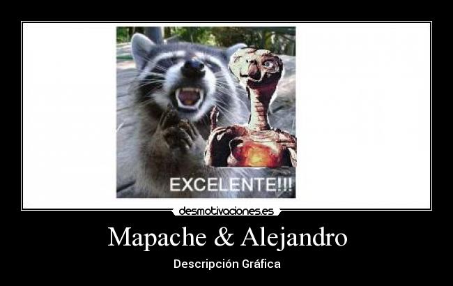 Mapache & Alejandro -