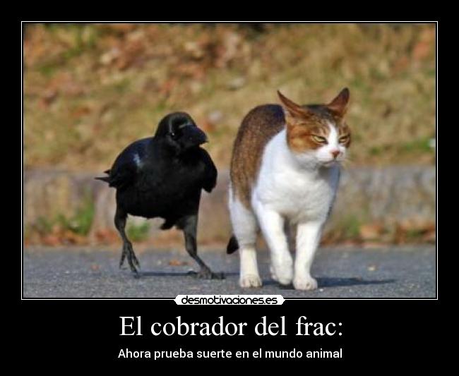 El cobrador del frac: - Ahora prueba suerte en el mundo animal