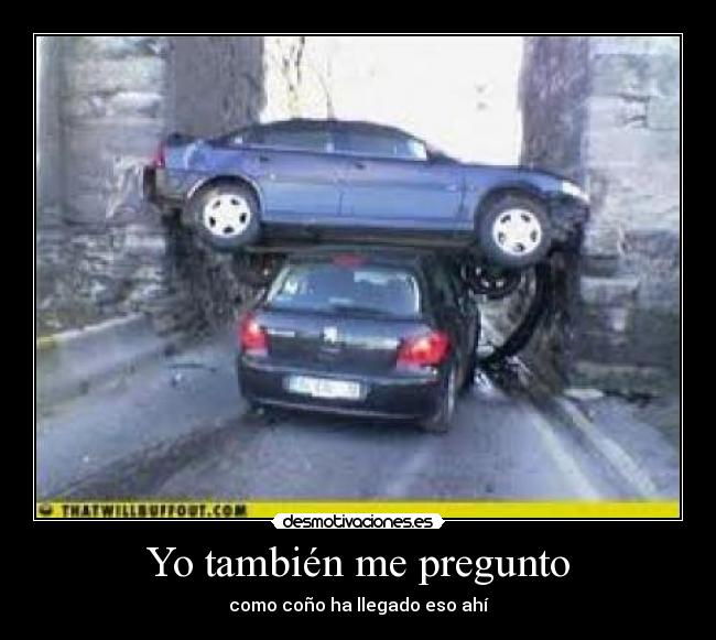 Yo también me pregunto - 