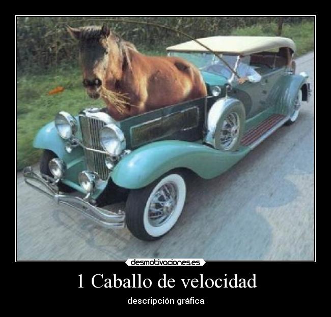 1 Caballo de velocidad - 