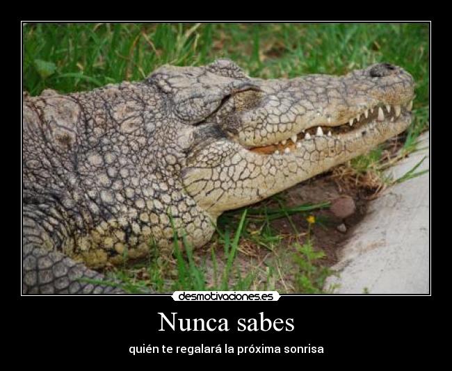 Nunca sabes -