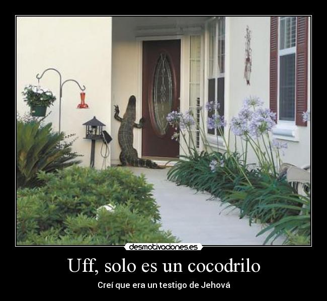 Uff, solo es un cocodrilo - 