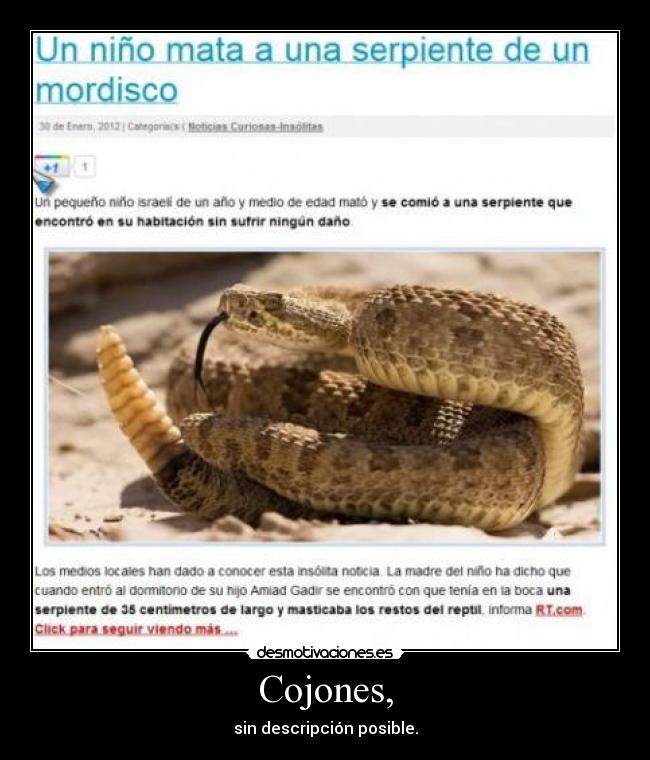 Cojones, - 