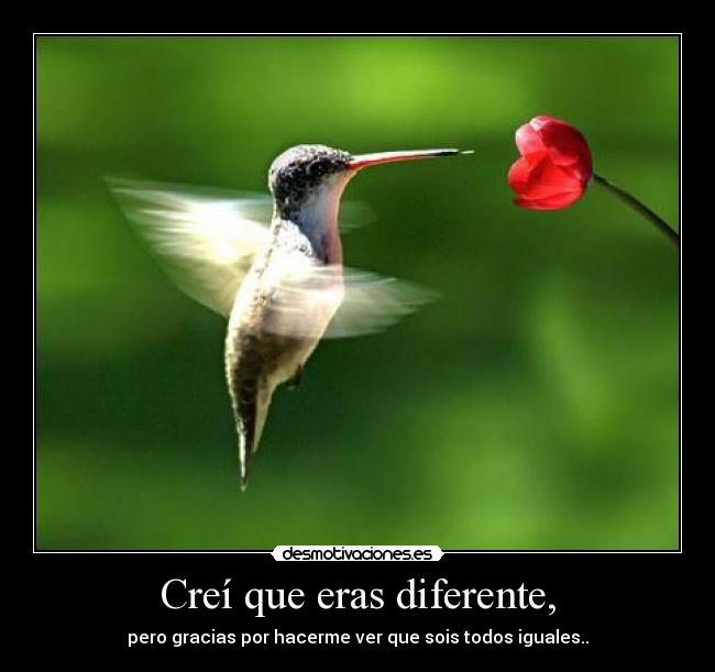 carteles jdssssfd desmotivaciones