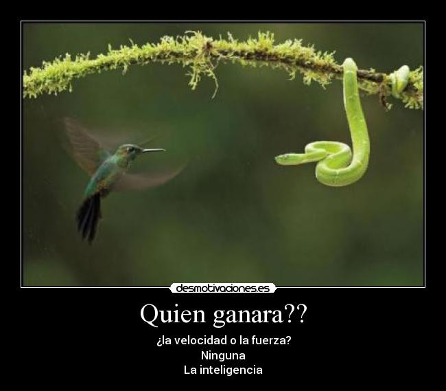 Quien ganara?? - ¿la velocidad o la fuerza?
Ninguna
La inteligencia