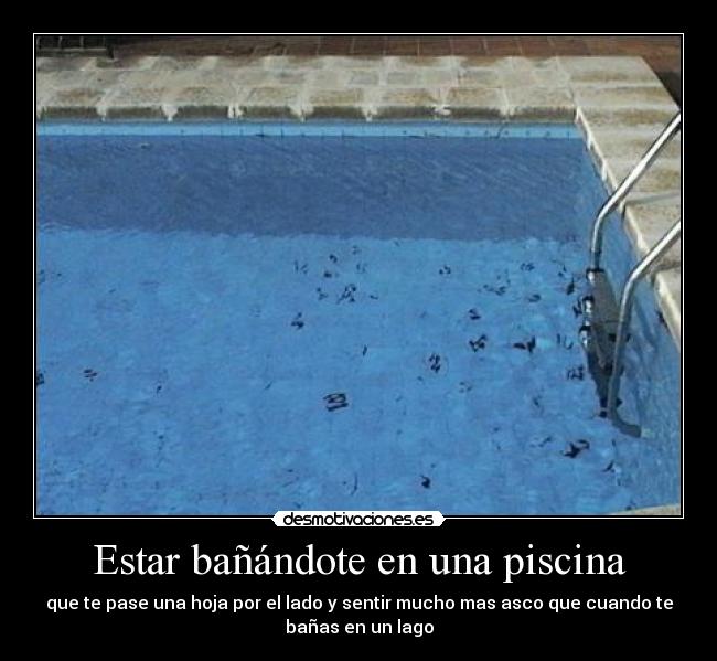 Estar bañándote en una piscina - que te pase una hoja por el lado y sentir mucho mas asco que cuando te
bañas en un lago