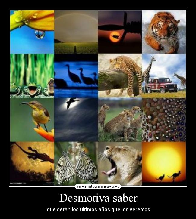Desmotiva saber - que serán los últimos años que los veremos