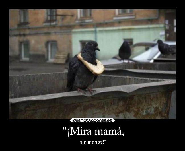 ¡Mira mamá, - sin manos!