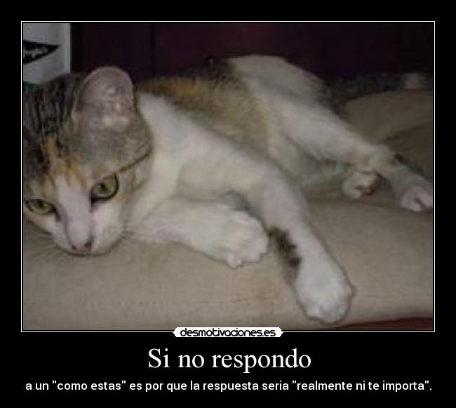 Si no respondo - 
