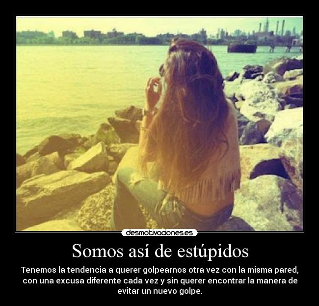 Somos así de estúpidos - Tenemos la tendencia a querer golpearnos otra vez con la misma pared,
con una excusa diferente cada vez y sin querer encontrar la manera de
evitar un nuevo golpe.