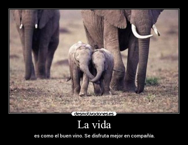 La vida -