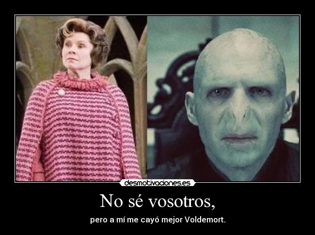 No sé vosotros, - pero a mí me cayó mejor Voldemort.