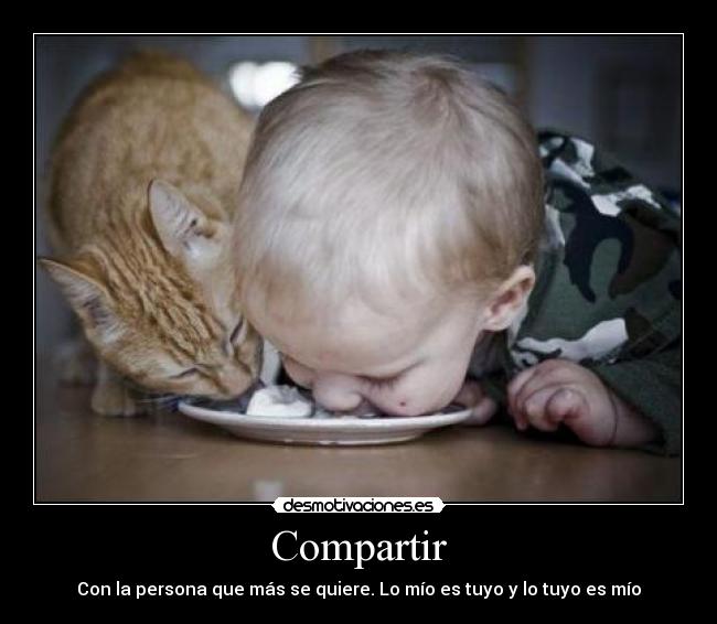 Compartir -