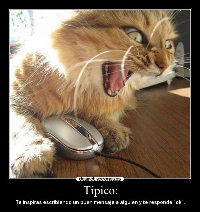 Típico: - Te inspiras escribiendo un buen mensaje a alguien y te responde ok.