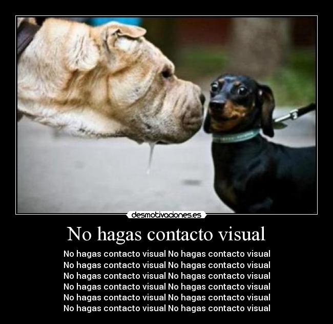 No hagas contacto visual - No hagas contacto visual No hagas contacto visual
No hagas contacto visual No hagas contacto visual
No hagas contacto visual No hagas contacto visual
No hagas contacto visual No hagas contacto visual
No hagas contacto visual No hagas contacto visual
No hagas contacto visual No hagas contacto visual