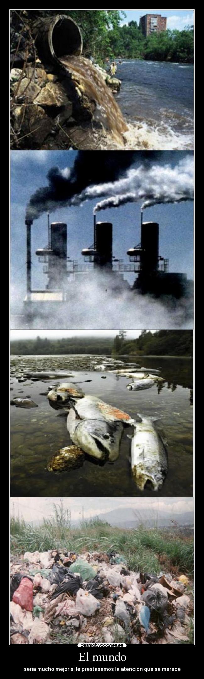 El mundo - seria mucho mejor si le prestasemos la atencion que se merece