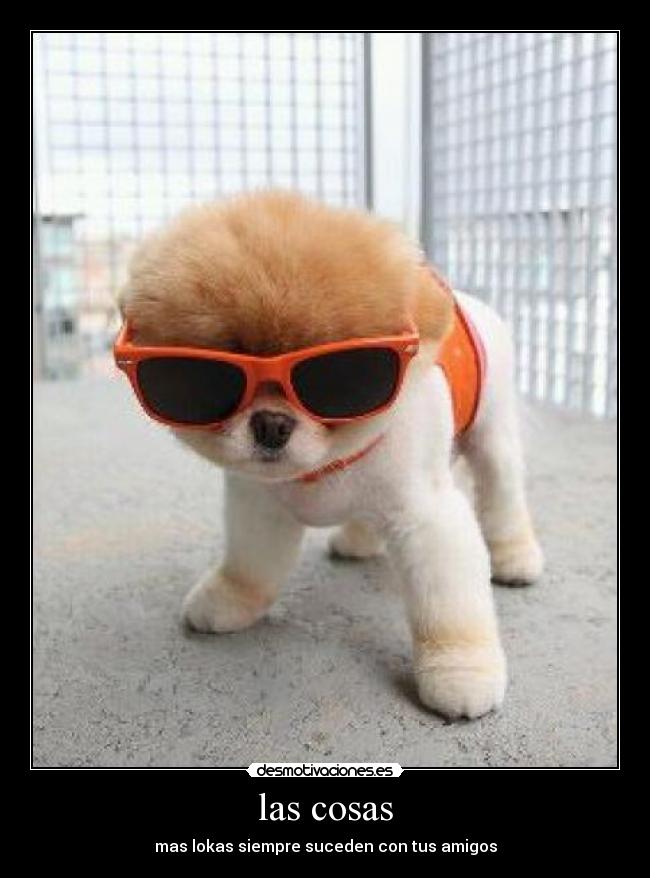 las cosas - mas lokas siempre suceden con tus amigos