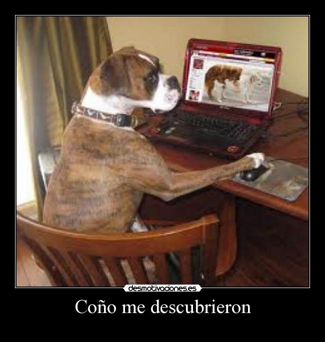 Coño me descubrieron -