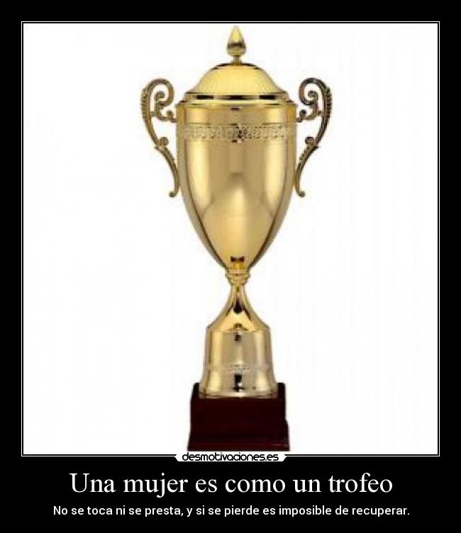 carteles mujer troll desmotivaciones