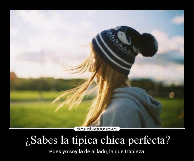 carteles perfeccion todo desmotivaciones