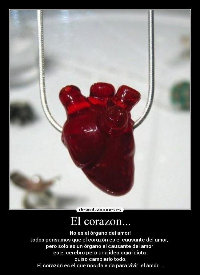 El corazon... - 