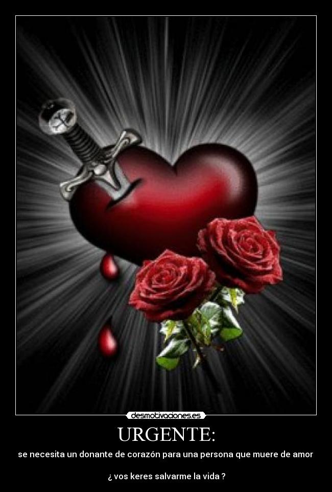 carteles ayared desmotivaciones