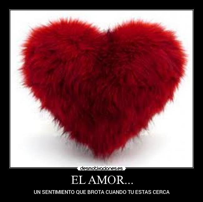 EL AMOR... - UN SENTIMIENTO QUE BROTA CUANDO TU ESTAS CERCA
