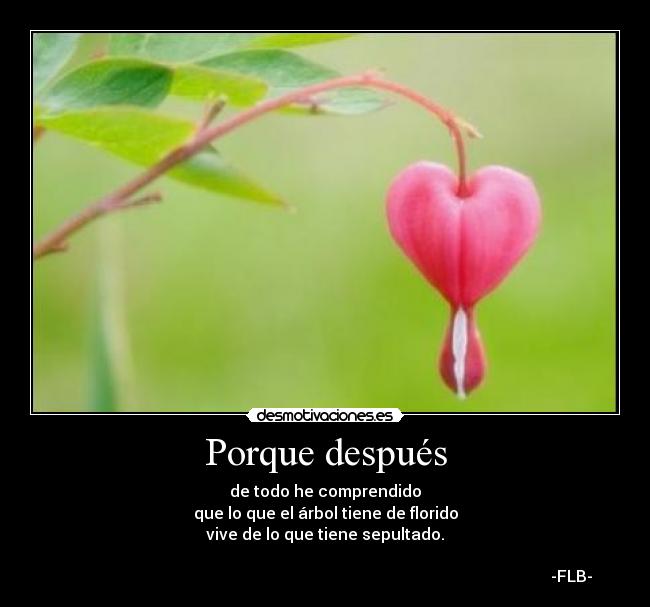 Porque después - 