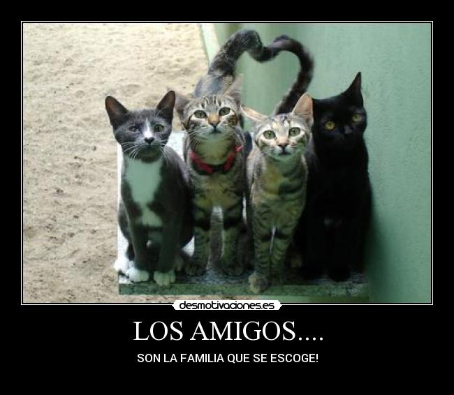 LOS AMIGOS.... -