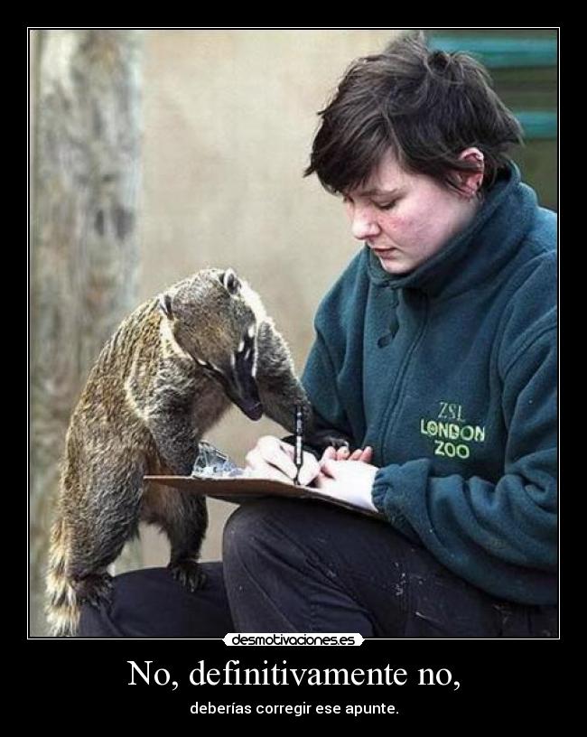 No, definitivamente no, -