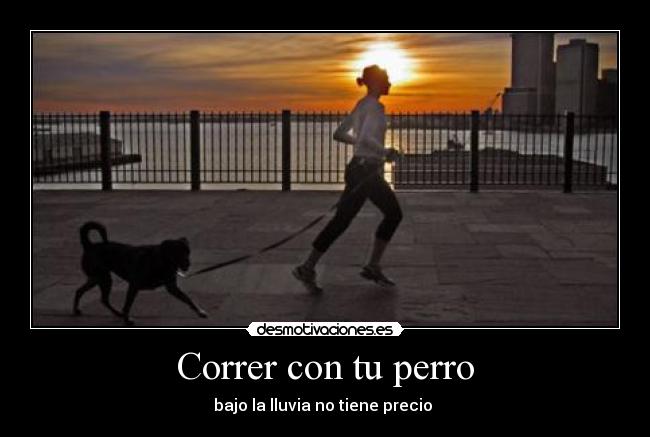 carteles correr con perro desmotivaciones