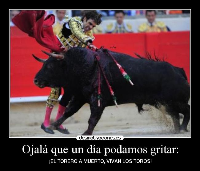 Ojalá que un día podamos gritar: -