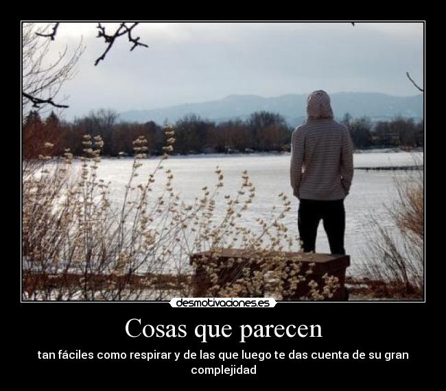 carteles todo que parece familiaup familia lemur nam desmotivaciones