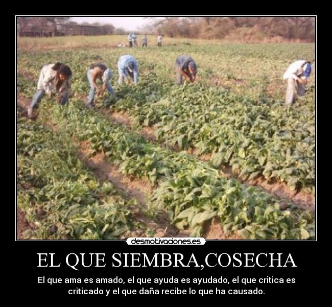 EL QUE SIEMBRA,COSECHA - El que ama es amado, el que ayuda es ayudado, el que critica es
criticado y el que daña recibe lo que ha causado.