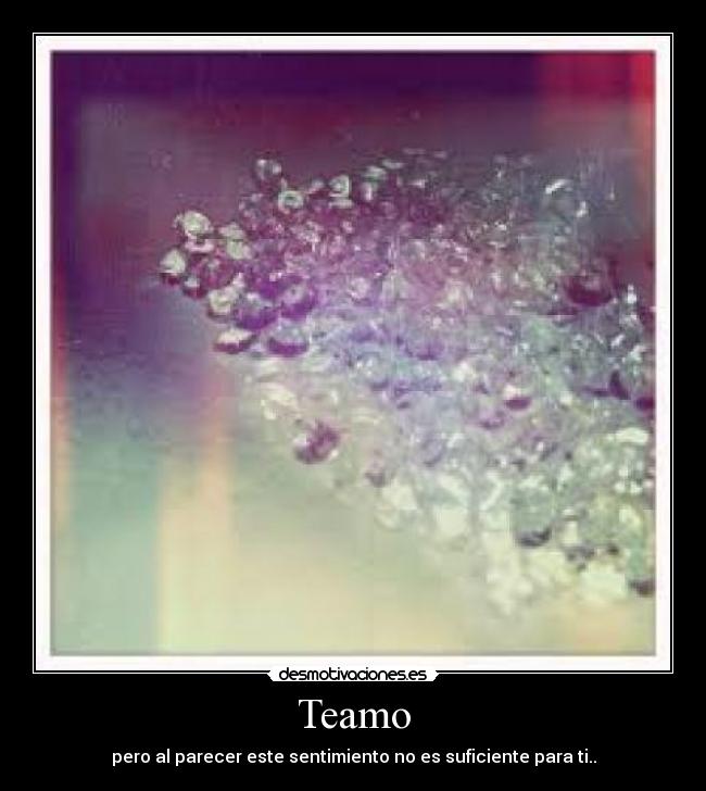 Teamo -