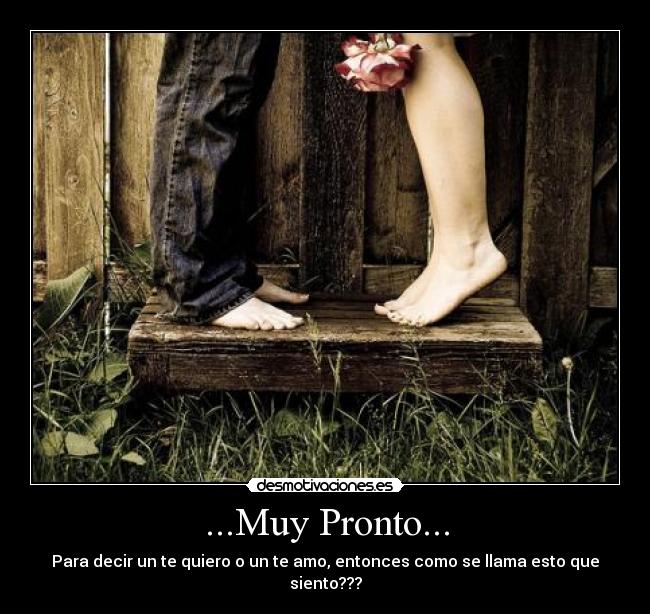 carteles quiero desmotivaciones