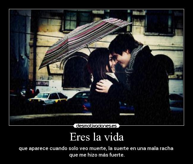 carteles vida belkin desmotivaciones