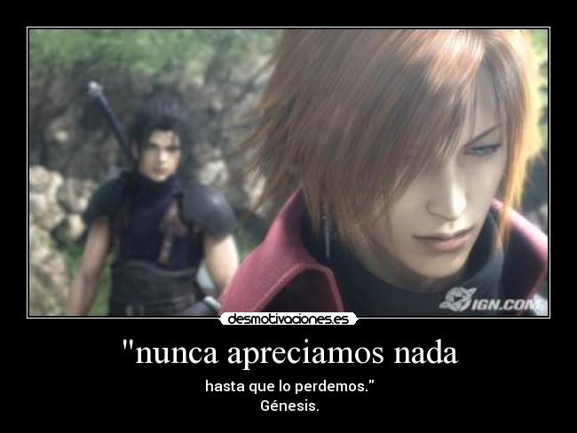 nunca apreciamos nada -
