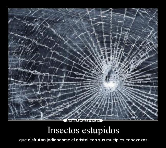 Insectos estupidos -