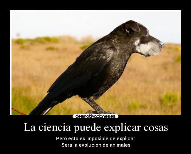 La ciencia puede explicar cosas - Pero esto es imposible de explicar
Sera la evolucion de animales