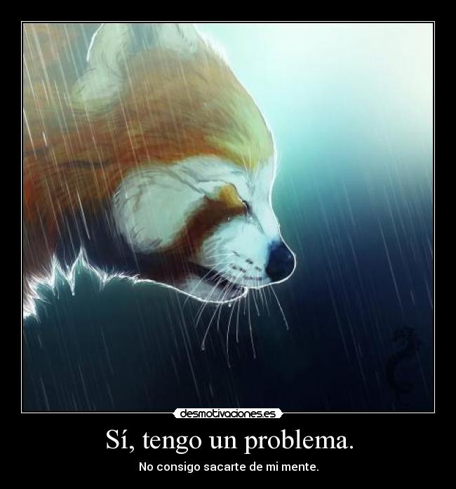 carteles true love desmotivaciones