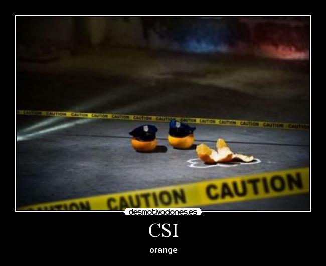 CSI - orange