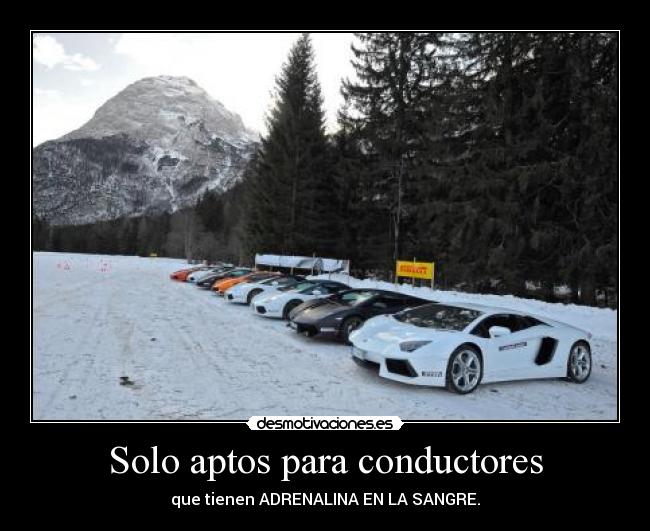 carteles lamborghini desmotivaciones