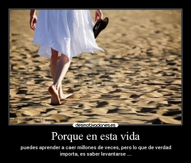 Porque en esta vida -