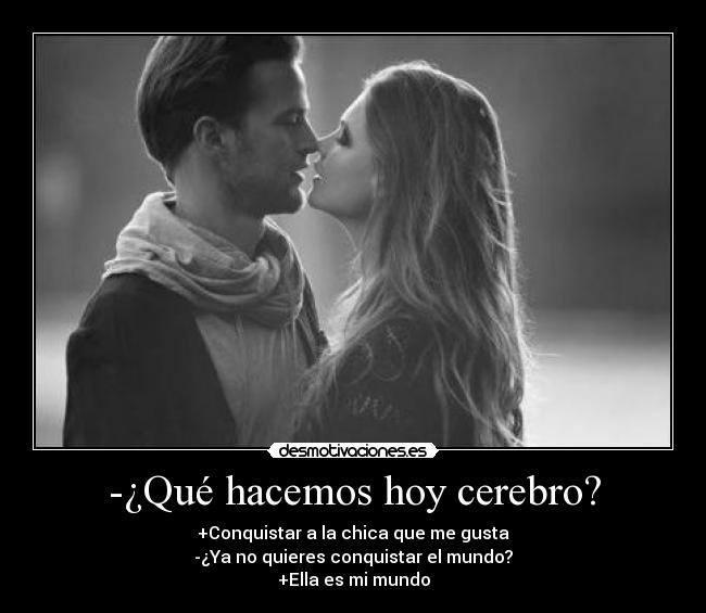 -¿Qué hacemos hoy cerebro? - 