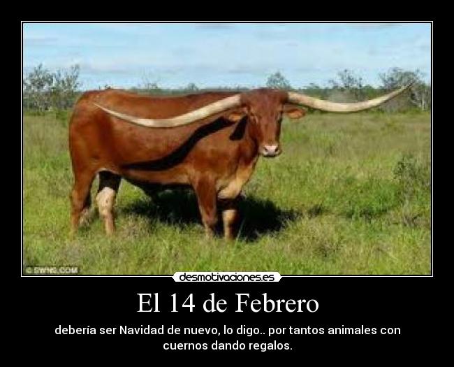 carteles san solterin desmotivaciones