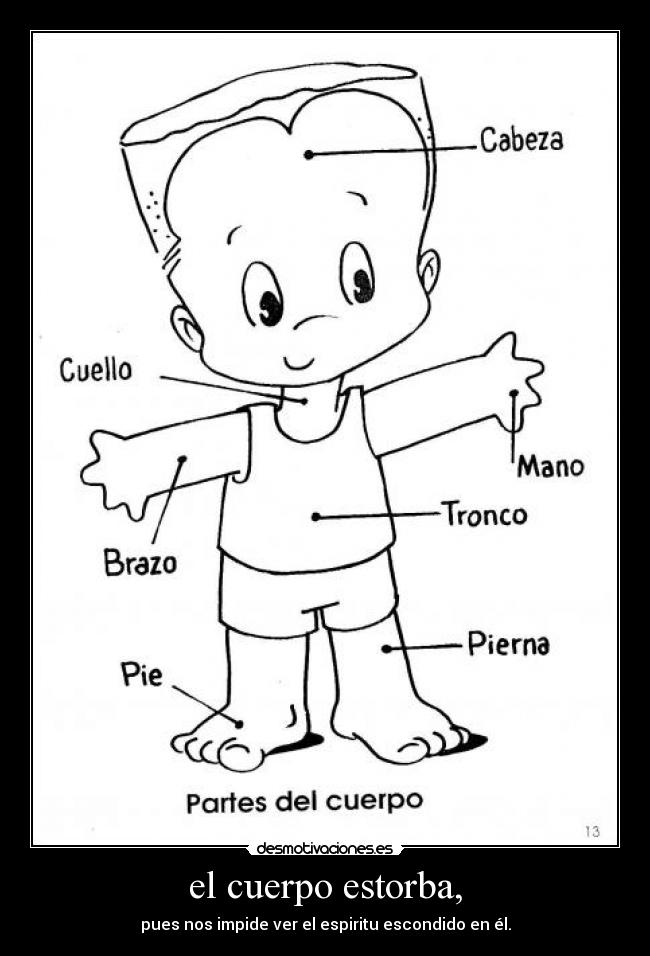 el cuerpo estorba, - pues nos impide ver el espiritu escondido en él.