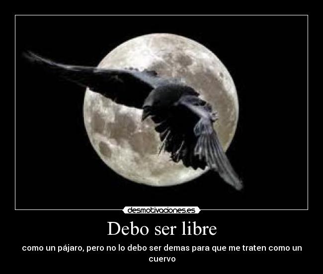 Debo ser libre - como un pájaro, pero no lo debo ser demas para que me traten como un cuervo