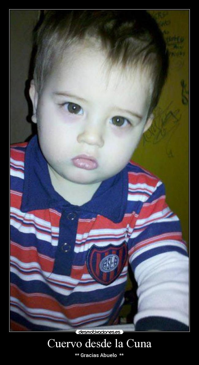 Cuervo desde la Cuna - 