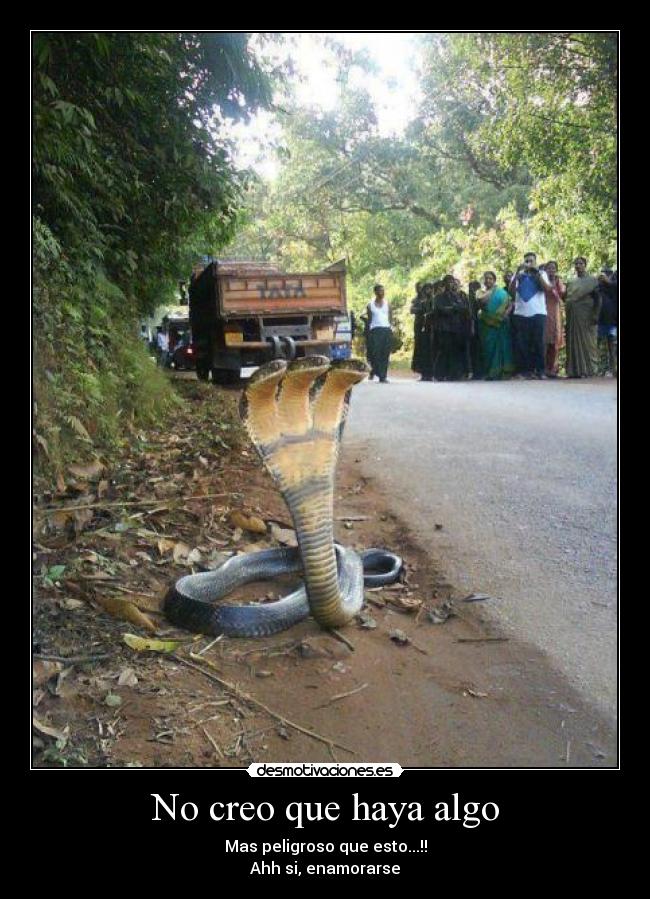 No creo que haya algo -